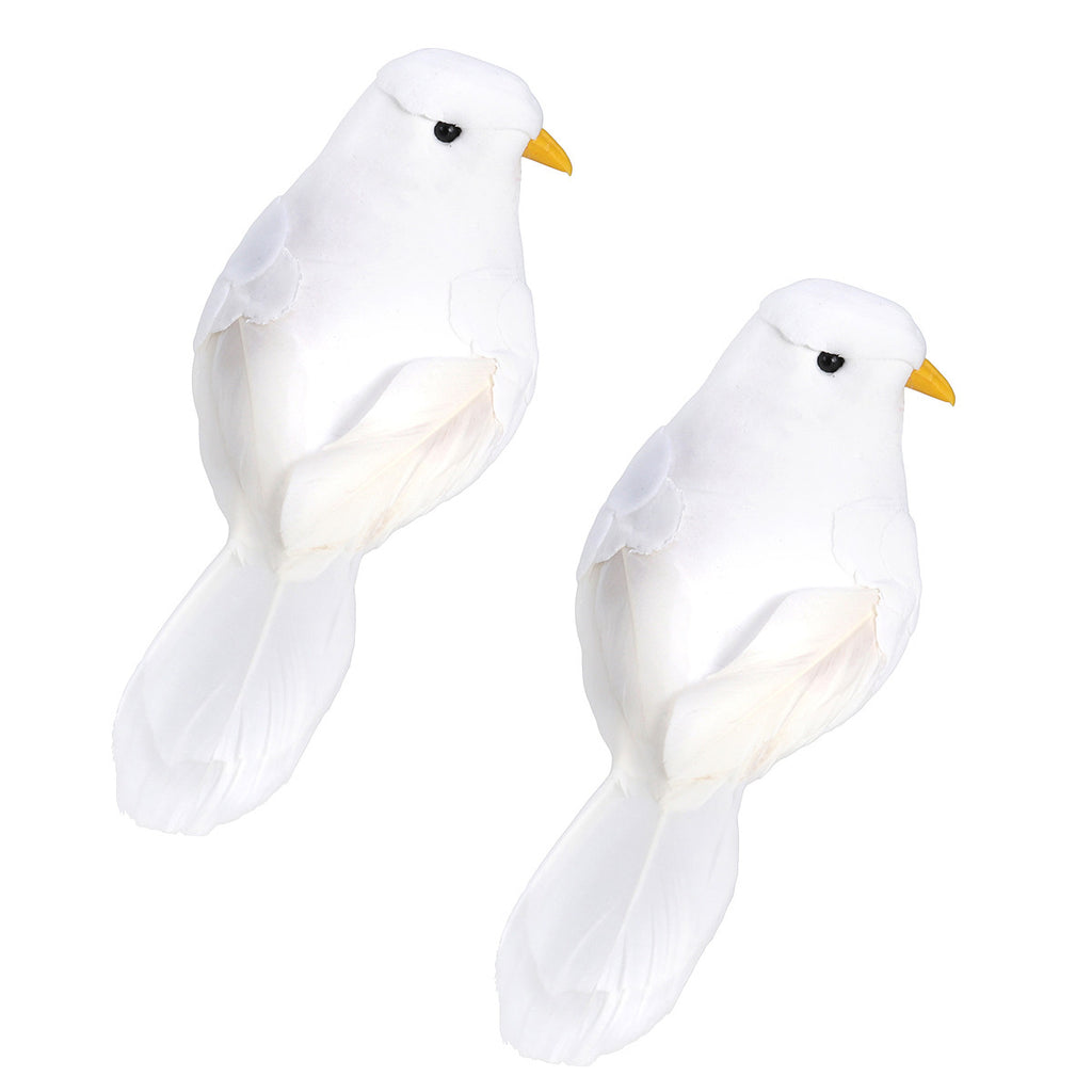 Birds Foam Pigeons