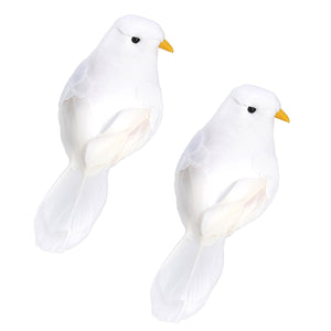 Birds Foam Pigeons