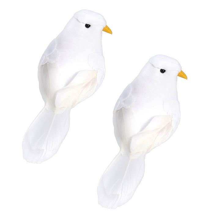 Birds Foam Pigeons